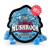 Blue raspberry mushroom gummies extra-strength functional supplement