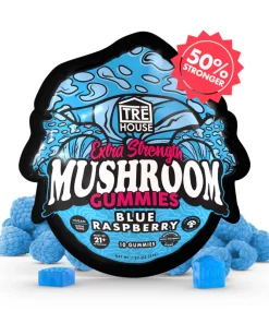 Blue raspberry mushroom gummies extra-strength functional supplement